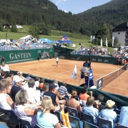 Ioana Olaru (ROU) vs. Sybille Bammer (AUT)
