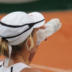 Simona HALEP (ROU) vs. Sybille BAMMER (AUT)