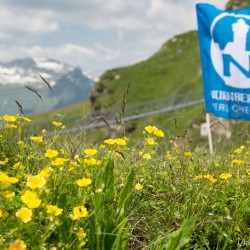 Auslosung  Nürnberger Gastein Ladies   Foto: Gerhard Michel