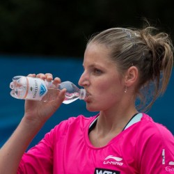 Duque-Marino (COL) / Garcia Vidagany (ESP) vs. Pliskova (CZE) / Pliskova (CZE)