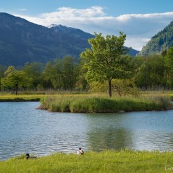 bs_dsc_3491.jpg
