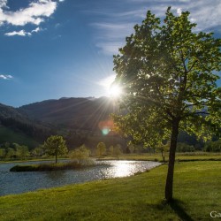 bs_dsc_3570.jpg