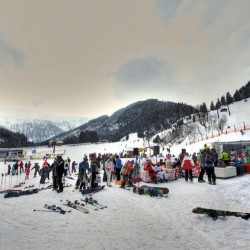 img_6212hp.jpg