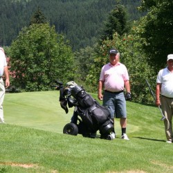 img_0048_2.jpg
