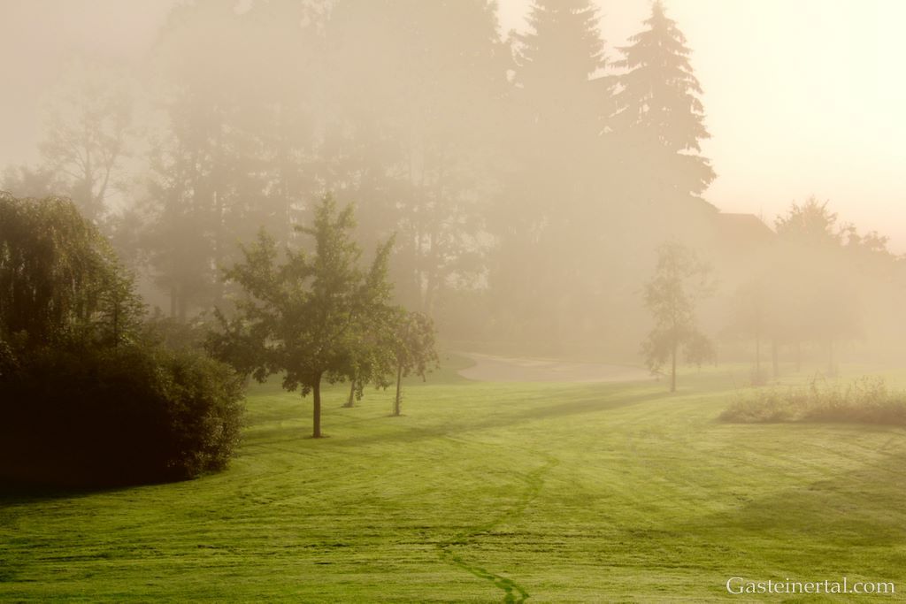 <Morgenstimmung Golfplatz