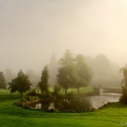 Morgenstimmung Golfplatz