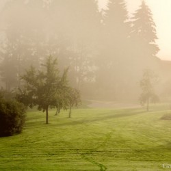 Morgenstimmung Golfplatz