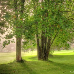 Golfplatz Loch 18