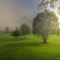 Golfplatz früh morgens