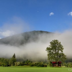 Golfplatz im Mogennebel