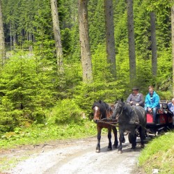 Fiakerfahrt in die Prossau