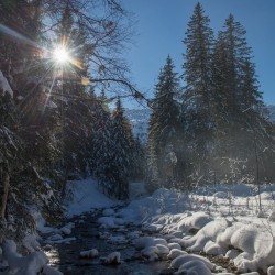 hf17_dsc_0363.jpg