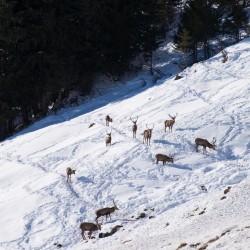 hf17_dsc_0367.jpg
