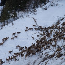 hf17_dsc_0505.jpg