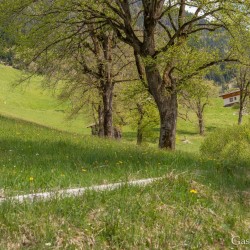 dsc_9876.jpg