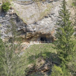 dsc_9894.jpg