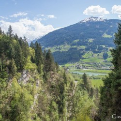 dsc_9903.jpg