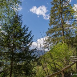 dsc_9961.jpg