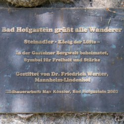 dsc_9965.jpg