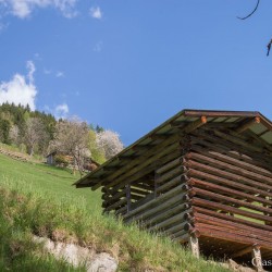 dsc_9967.jpg