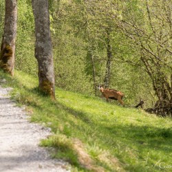 dsc_9974.jpg