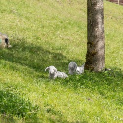 dsc_9976.jpg