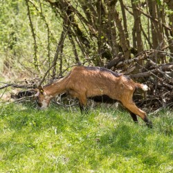 dsc_9977.jpg