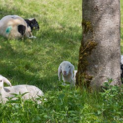 dsc_9979.jpg