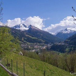 dsc_9983.jpg