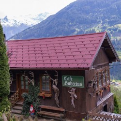 dsc_9989.jpg
