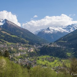 dsc_9990.jpg