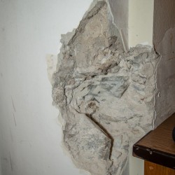 sh_dsc_9250.jpg