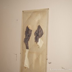 sh_dsc_9323.jpg