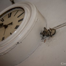 sh_dsc_9364.jpg