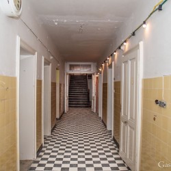 sh_dsc_9365.jpg