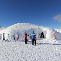 Iglu