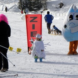 Schneeflocke mit Gasti