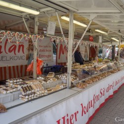 kt26_dsc09466.jpg