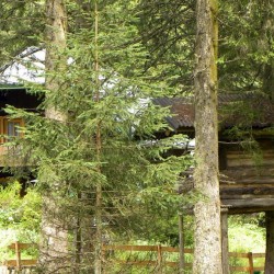 dscn2086.jpg