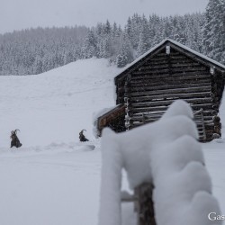 Schochn Pass