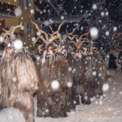 De oidn BergKristolla