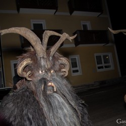 dsc_8753.jpg