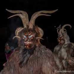 dsc_8784.jpg