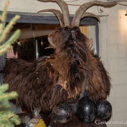 dsc_8786.jpg
