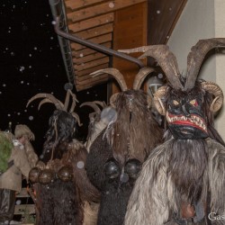 dsc_9139.jpg