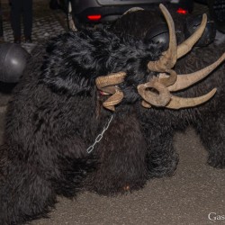 Weißboch Pass und Graukogel Pass