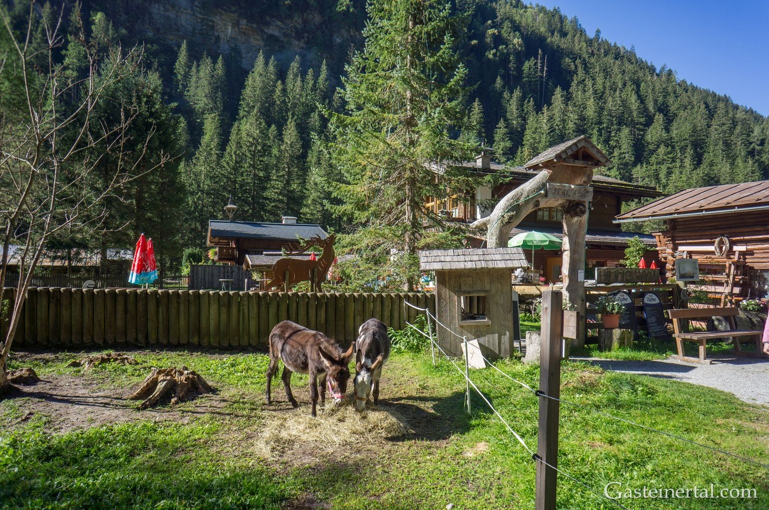<Himmelwandhütte