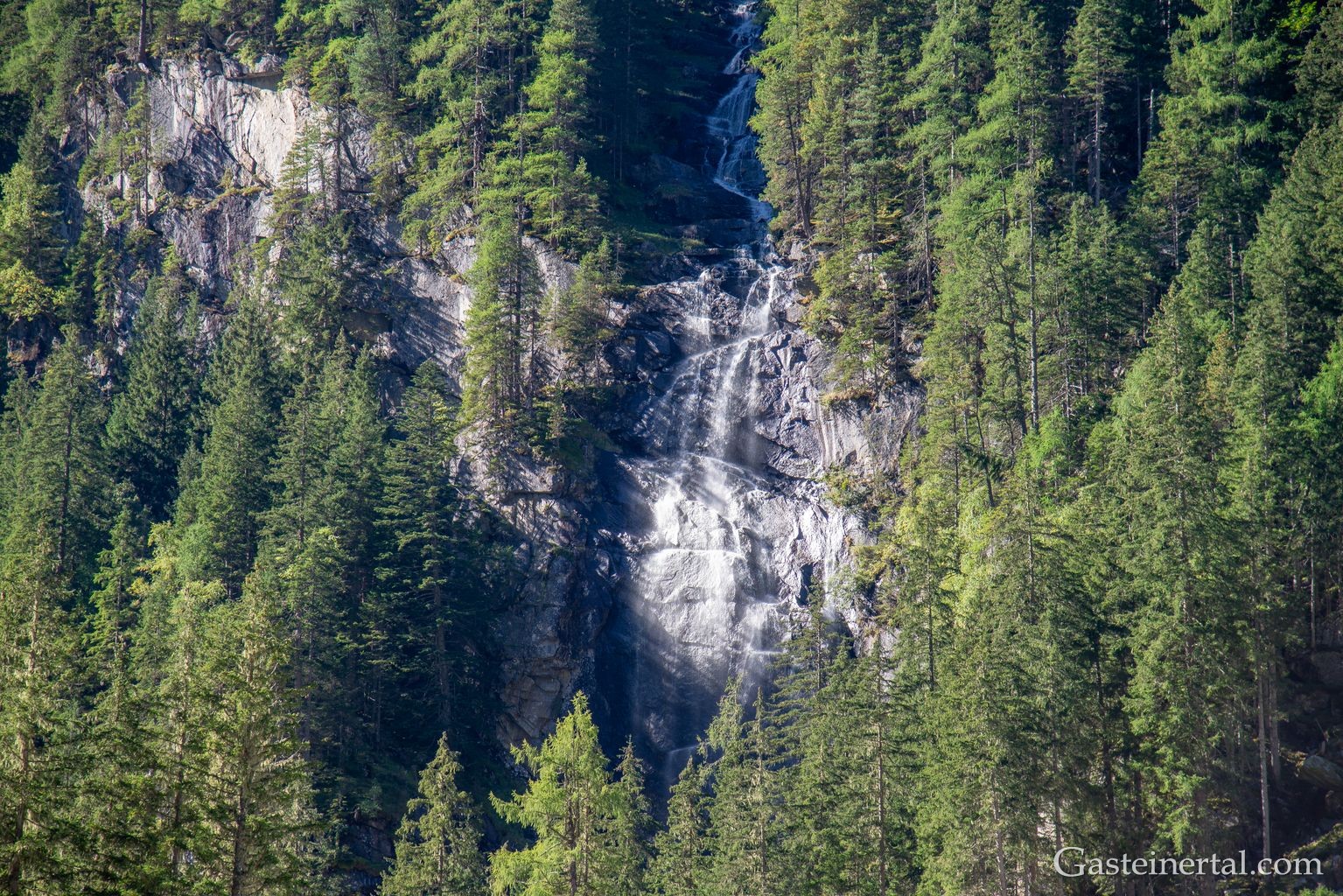 <kt26_dsc_3539.jpg
