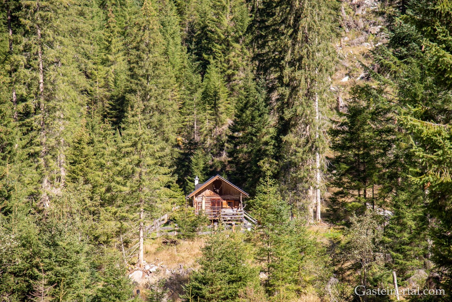 <kt26_dsc_3545.jpg