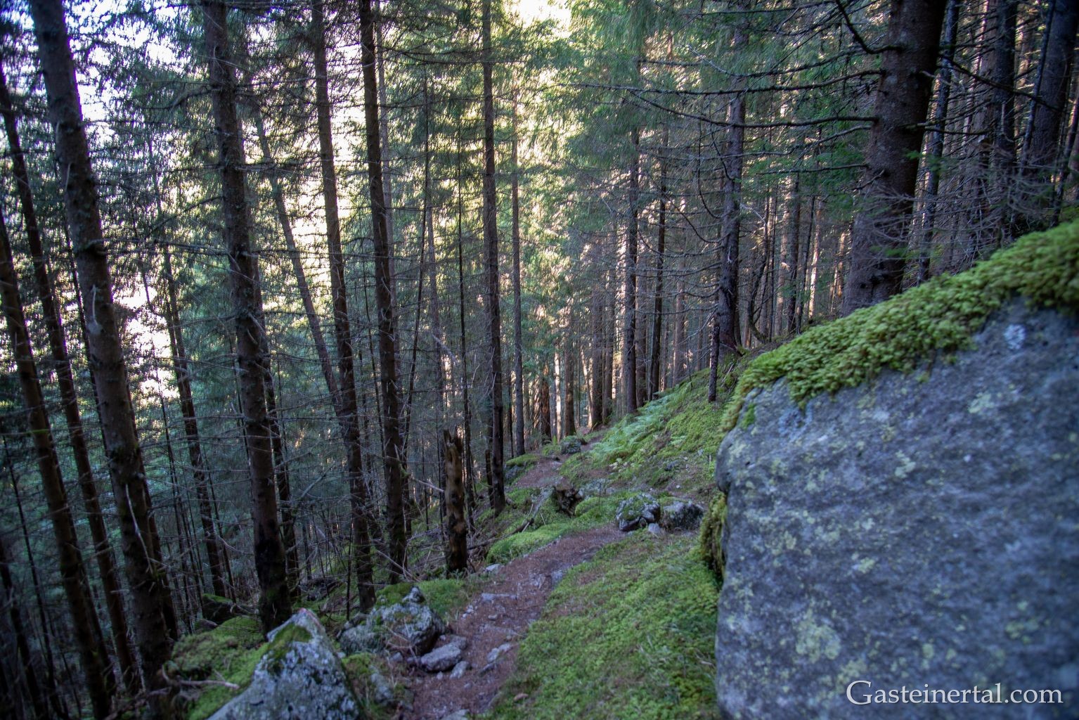 <kt26_dsc_3559.jpg